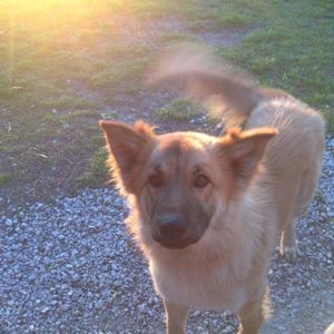 Meet your Posher, Jayden